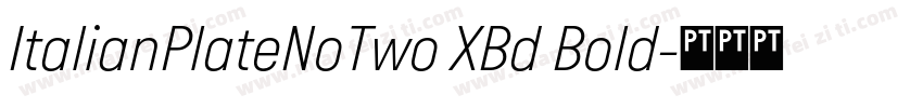 ItalianPlateNoTwo XBd Bold字体转换